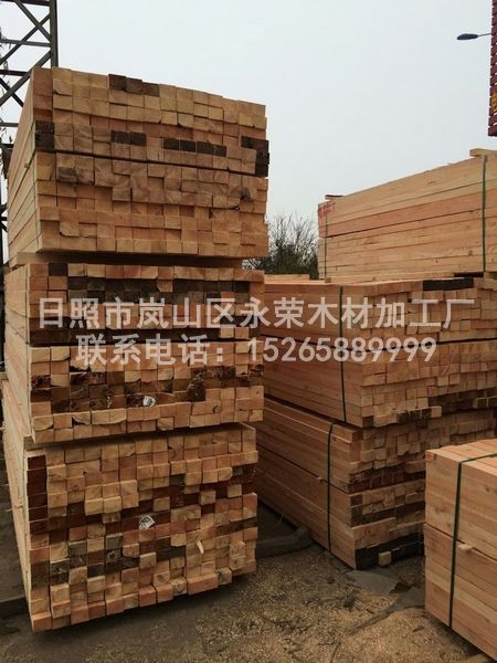 花旗松建筑羞羞答答网址